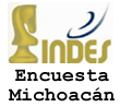 encuestamich