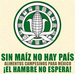 maizimg
