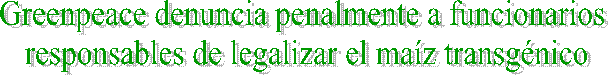 Greenpeace denuncia penalmente a funcionarios responsables de legalizar el maíz transgénico